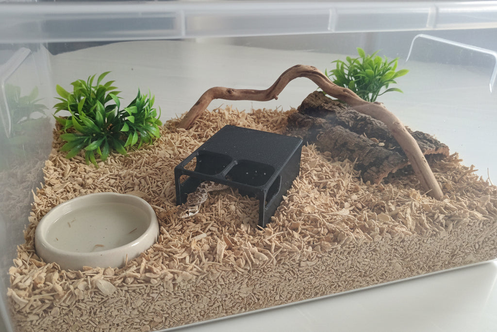 The Oasis Tunnel Hide™